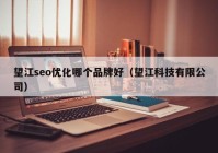望江seo優(yōu)化哪個(gè)品牌好（望江科技有限公司）