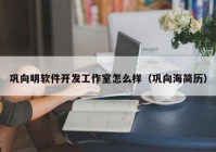 鞏向明軟件開(kāi)發(fā)工作室怎么樣（鞏向海簡(jiǎn)歷）