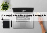 武漢小程序開(kāi)發(fā)（武漢小程序開(kāi)發(fā)公司有多少家）