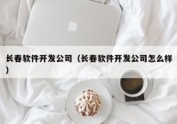 長(zhǎng)春軟件開(kāi)發(fā)公司（長(zhǎng)春軟件開(kāi)發(fā)公司怎么樣）