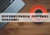 軟件開(kāi)發(fā)銷售公司名稱大全（軟件開(kāi)發(fā)銷售公司名稱大全圖片）