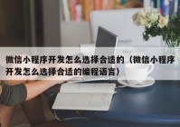 微信小程序開發(fā)怎么選擇合適的（微信小程序開發(fā)怎么選擇合適的編程語(yǔ)言）