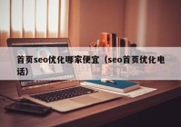 首頁(yè)seo優(yōu)化哪家便宜（seo首頁(yè)優(yōu)化電話(huà)）